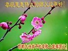 ֹ,ӱ󷨵ӹףʦ(22)