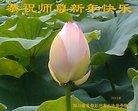 ֹ,ɶ󷨵ӹףʦ(19)