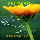 ֹ,󷨵ӹףʦ(24)