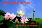 ֹ,󷨵ӹףʦ(22)