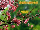 ֹ,ൺ󷨵ӹףʦ(22)