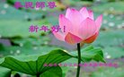 ֹ,ɶ󷨵ӹףʦ(21)