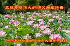 ֹ,ϴ󷨵ӹףʦ(23)