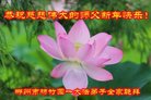 ֹ,ϴ󷨵ӹףʦ(23)