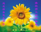 法轮功,重庆大法弟子恭祝师尊过年好(26条)