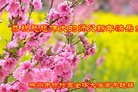 ֹ,ϴ󷨵ӹףʦ(23)