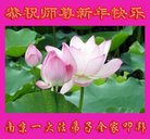 ֹ,մ󷨵ӹףʦ(23)