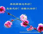 法轮功,保定大法弟子恭祝师尊过年好(20条)