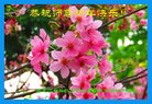 ֹ,󷨵ӹףʦ(22)
