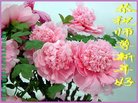 ֹ,󷨵ӹףʦ(26)