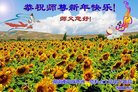 ֹ,ϴ󷨵ӹףʦ(23)
