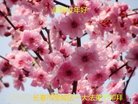 ֹ,󷨵ӹףʦ(24)