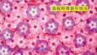ֹ,ʡ󷨵ӹףʦ(20)