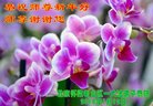 ֹ,󷨵ӹףʦ(24)