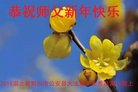 ֹ,󷨵ӹףʦ(33)
