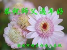 ֹ,Ϋ󷨵ӹףʦ(25)