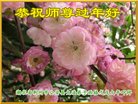 ֹ,󷨵ӹףʦ(33)
