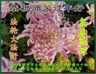 ֹ,󷨵ӹףʦ(33)
