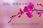 法轮功,重庆大法弟子恭祝师尊过年好(28条)