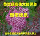 ֹ,ʡ󷨵ӹףʦ(20)