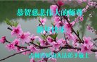 ֹ,ʡ󷨵ӹףʦ(20)