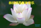 ֹ,½󷨵ӹףʦ(24)
