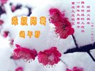 法轮功,重庆大法弟子恭祝师尊过年好(28条)