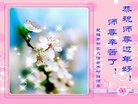 法轮功,云南大法弟子恭祝师尊过年好(20条)