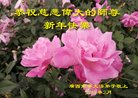 ֹ,󷨵ӹףʦ(26)