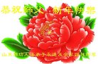ֹ,Ϋ󷨵ӹףʦ(25)