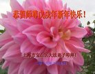 ֹ,Ϻ󷨵ӹףʦ(24)