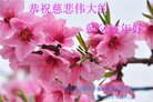 ֹ,󷨵ӹףʦ(23)