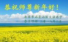 ֹ,󷨵ӹףʦ(24)
