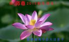 ֹ,󷨵ӹףʦ(19)