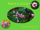 ֹ,󷨵ӹףʦ(26)