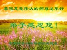 ֹ,ʡ󷨵ӹףʦ(24)