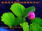 法轮功,廊坊大法弟子恭祝师尊过年好(24条)
