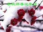 ֹ,ʡ󷨵ӹףʦ(29)