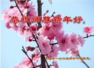 ֹ,󷨵ӹףʦ(22)