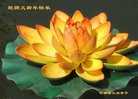 ֹ,ʡ󷨵ӹףʦ(29)