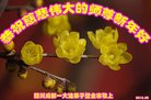 ֹ,ɶ󷨵ӹףʦ(22)