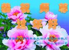 法轮功,张家口大法弟子恭祝师尊过年好(22条)