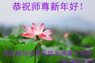 ֹ,ӱ󷨵ӹףʦ(24)