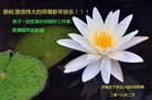 ֹ,ϴ󷨵ӹףʦ(24)