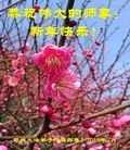 ֹ,֣ݴ󷨵ӹףʦ(26)