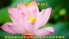 ֹ,󷨵ӹףʦ(23)
