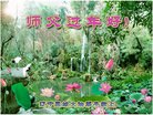 ֹ,󷨵ӹףʦ(23)