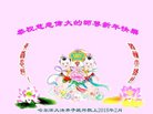法轮功,哈尔滨大法弟子恭祝师尊过年好(26条)