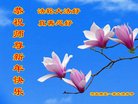 ֹ,󷨵ӹףʦ(20)