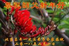 ֹ,󷨵ӹףʦ(18)